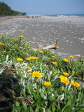 img0004.jpg