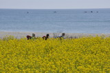 img0009.jpg