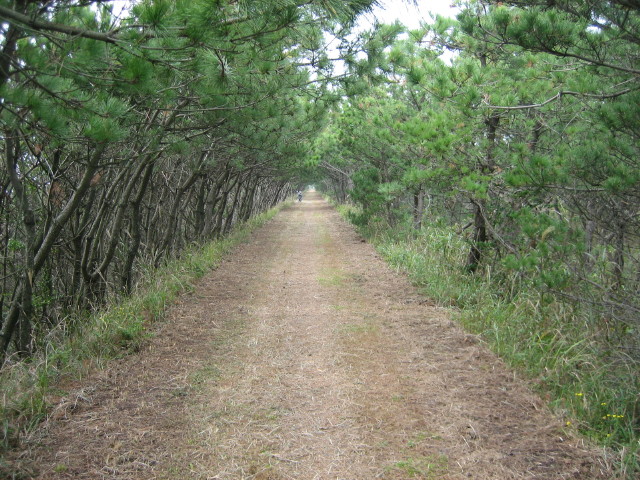 img0003.jpg